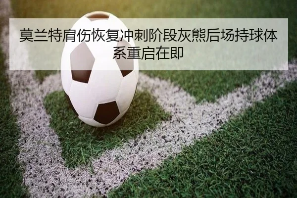 莫兰特肩伤恢复冲刺阶段灰熊后场持球体系重启在即